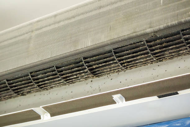 Best Local Air Duct Cleaning Services  in Minoa, NY