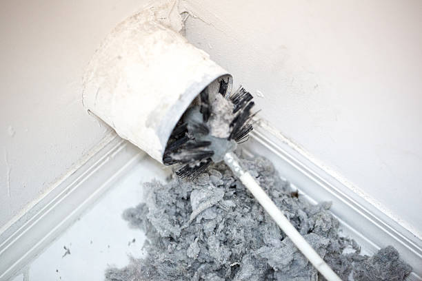 Best Air Duct Mold Removal  in Minoa, NY